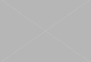 Xaver Mustermann :: Teststück